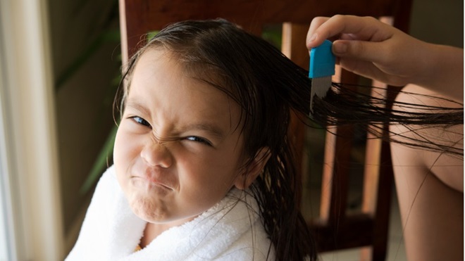 Se débarrasser des poux et lentes dans les cheveux d'un enfant
