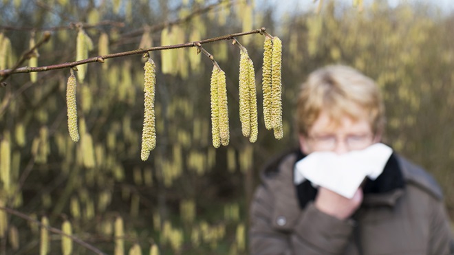 Saison du pollen et rhume des foins : que faire?