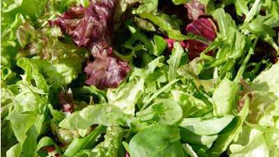Comment choisir une salade  préemballée?