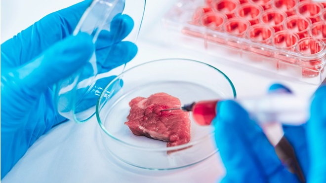 Une viande de laboratoire