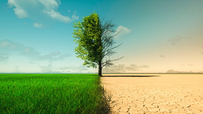 changement climatique perception belgique