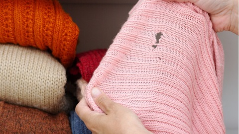 trou dans un pull causé par des mites