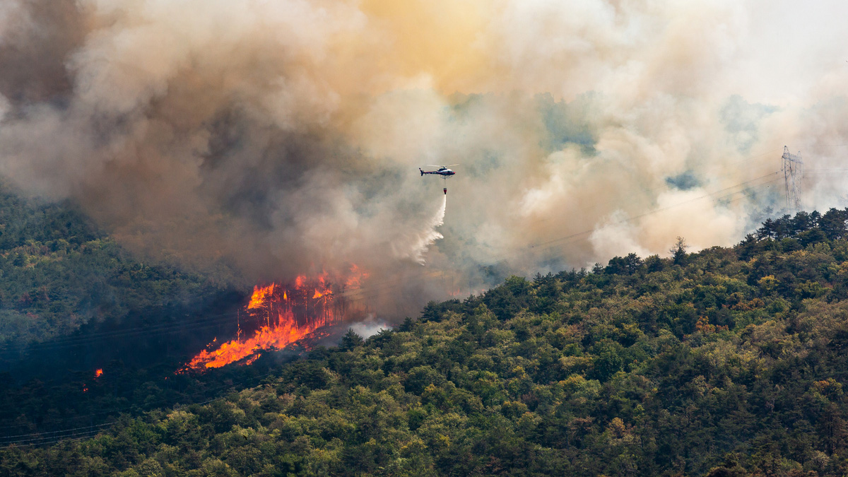incendies-foret-vacances