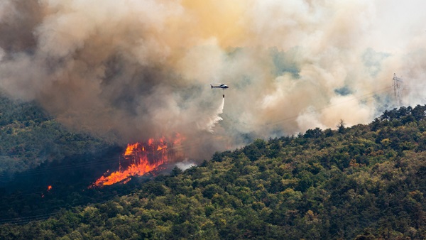 incendies-foret-vacances