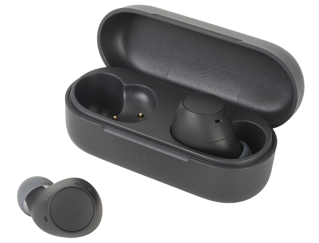 Ecouteurs sans fil SONY WF-C510