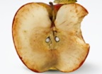 Une pomme jaunie.