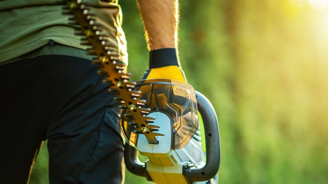 meilleurs taille haie