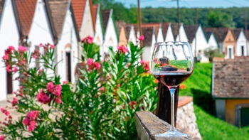 vins du Maroc et des Balkans