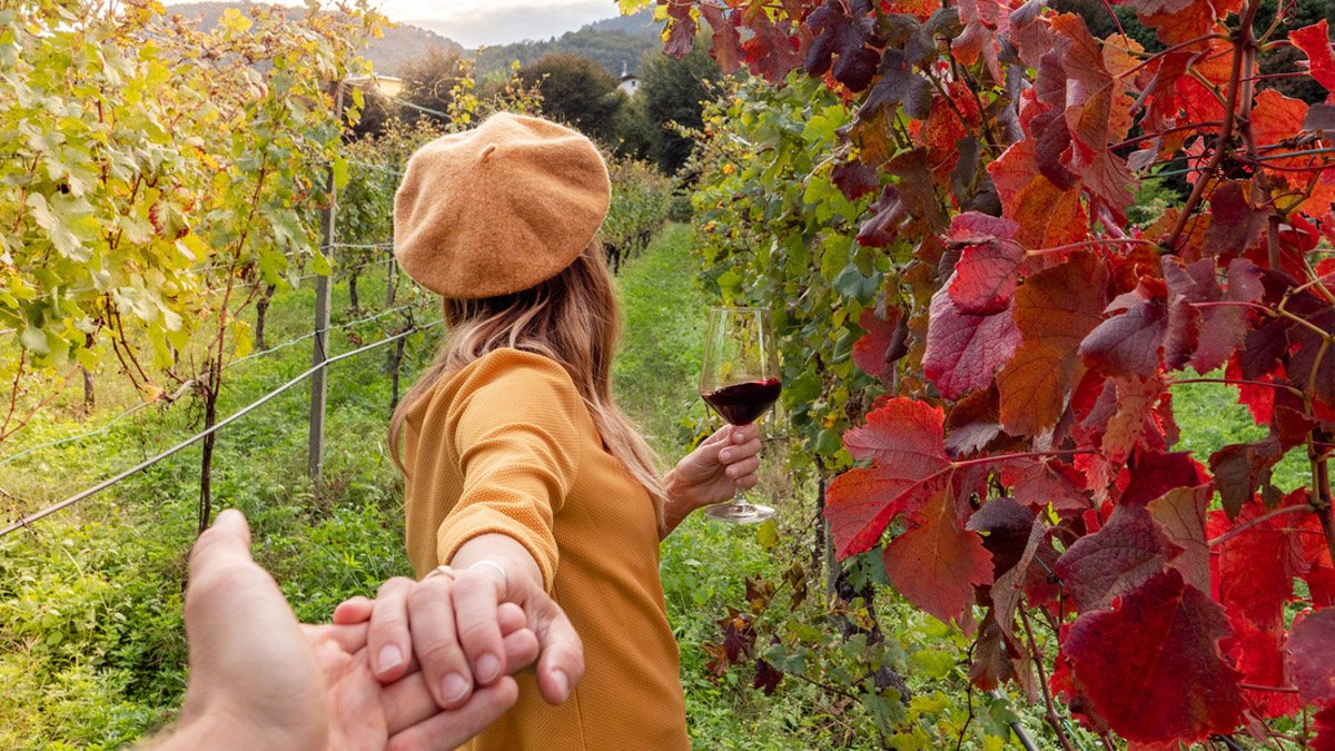 vins rouges du cotes du rhone