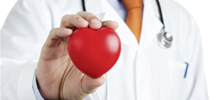 coeur en plastique dans main d'un médecin