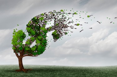 Est-ce le moment d’acheter des actifs en dollar ?